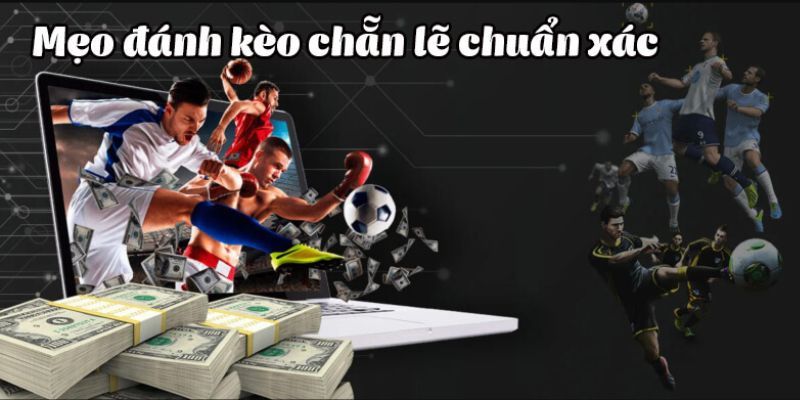 Mẹo chơi cá độ chẵn lẻ hiệu quả 